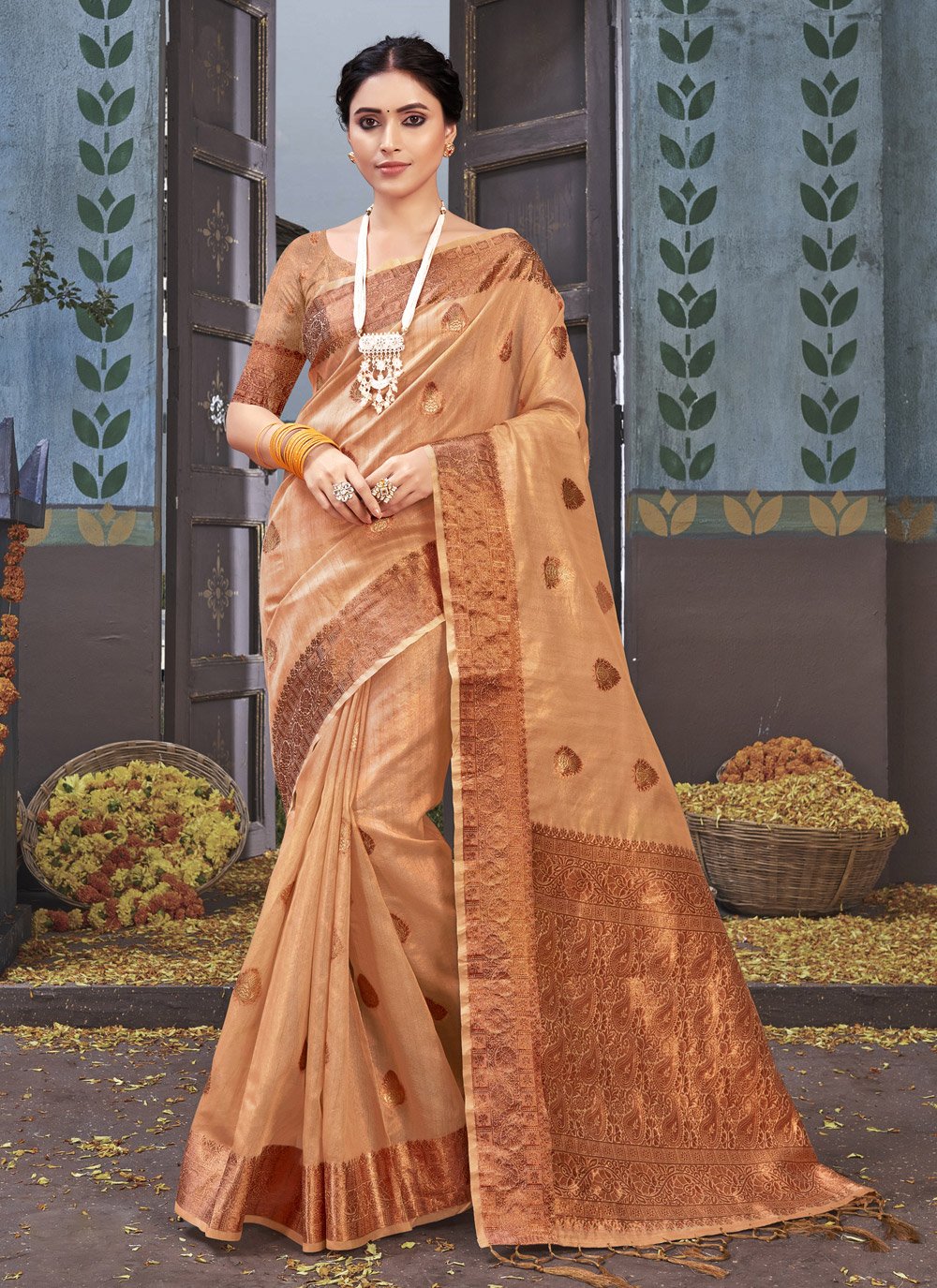 Classic Organza Beige Fancy Work Saree