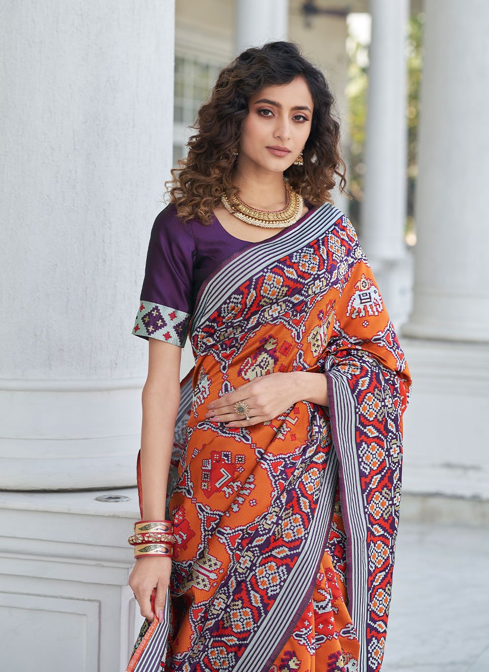 Classic Patola Silk Multi Colour Weaving Saree