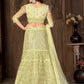 A Line Lehenga Net Green Embroidered Lehenga Choli