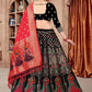 A Line Lehenga Jacquard Black Woven Lehenga Choli