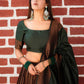 A Line Lehenga Banarasi Silk Brown Weaving Lehenga Choli