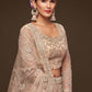 Lehenga Choli Net Beige Dori Work Lehenga Choli