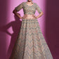 Lehenga Choli Silk Beige Dori Work Lehenga Choli