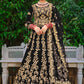 Lehenga Choli Velvet Black Dori Work Lehenga Choli