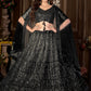 A Line Lehenga Net Black Embroidered Lehenga Choli