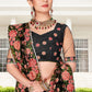 Classic Net Black Embroidered Saree