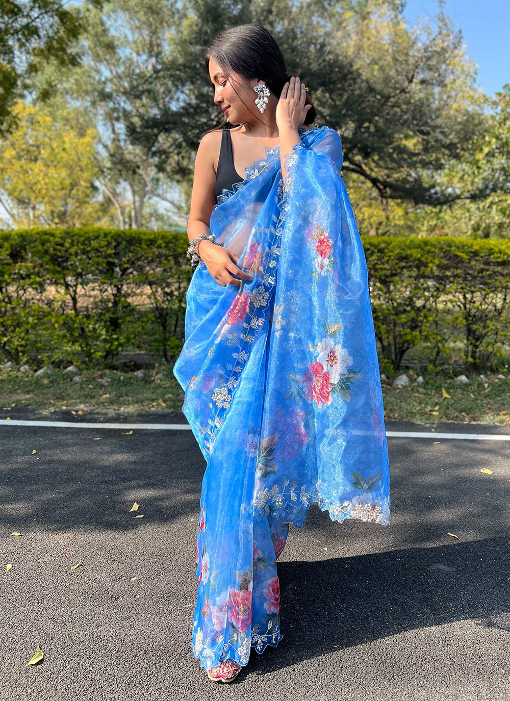 Classic Organza Blue Hand Work Saree