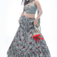 A Line Lehenga Chinon Grey Print Lehenga Choli