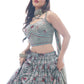 A Line Lehenga Chinon Grey Print Lehenga Choli