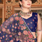 Classic Net Blue Embroidered Saree