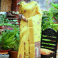 Contemporary Tussar Silk Yellow Weaving Saree