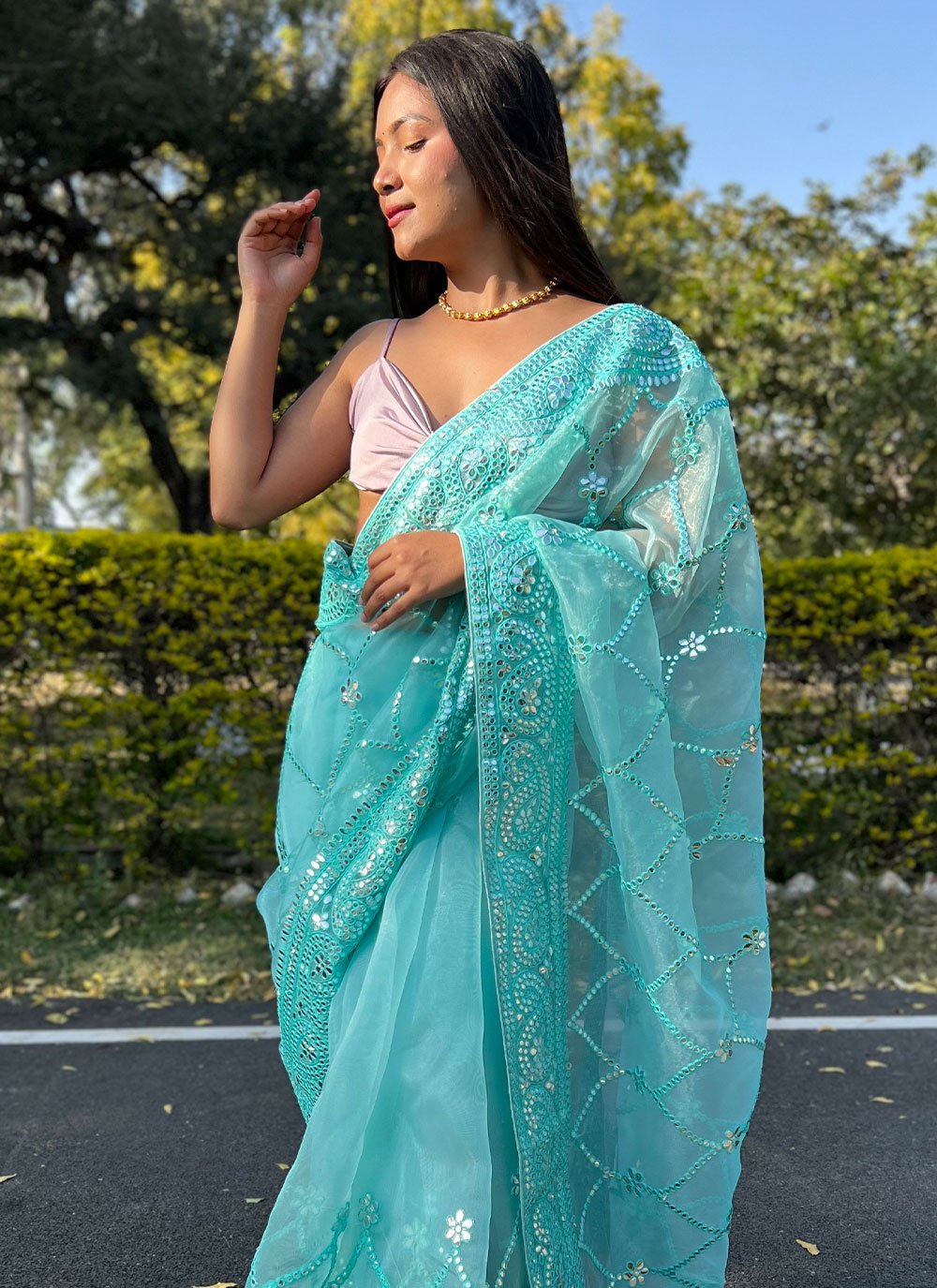 Classic Organza Aqua Blue Embroidered Saree