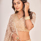 Lehenga Choli Net Beige Embroidered Lehenga Choli