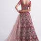 A Line Lehenga Net Red Embroidered Lehenga Choli