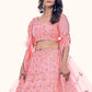 Lehenga Choli Net Pink Dori Work Lehenga Choli