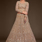 Lehenga Choli Net Beige Dori Work Lehenga Choli