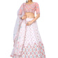 A Line Lehenga Georgette White Embroidered Lehenga Choli