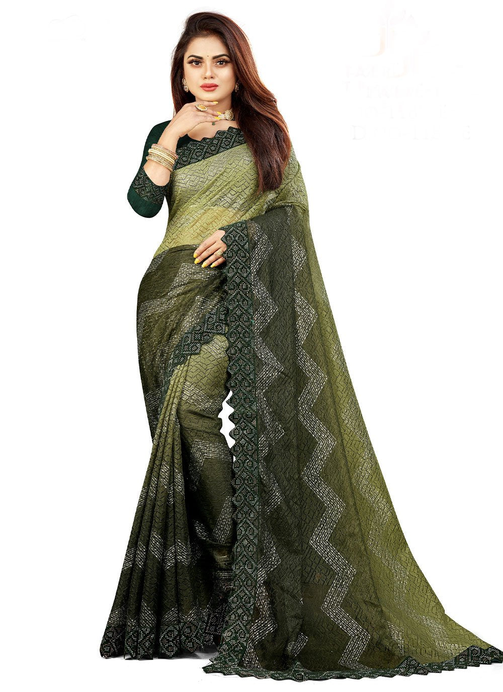 Contemporary Net Green Lace Saree