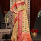 Classic Organza Multi Colour Embroidered Saree