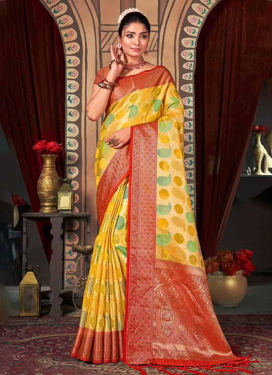 Classic Organza Multi Colour Embroidered Saree