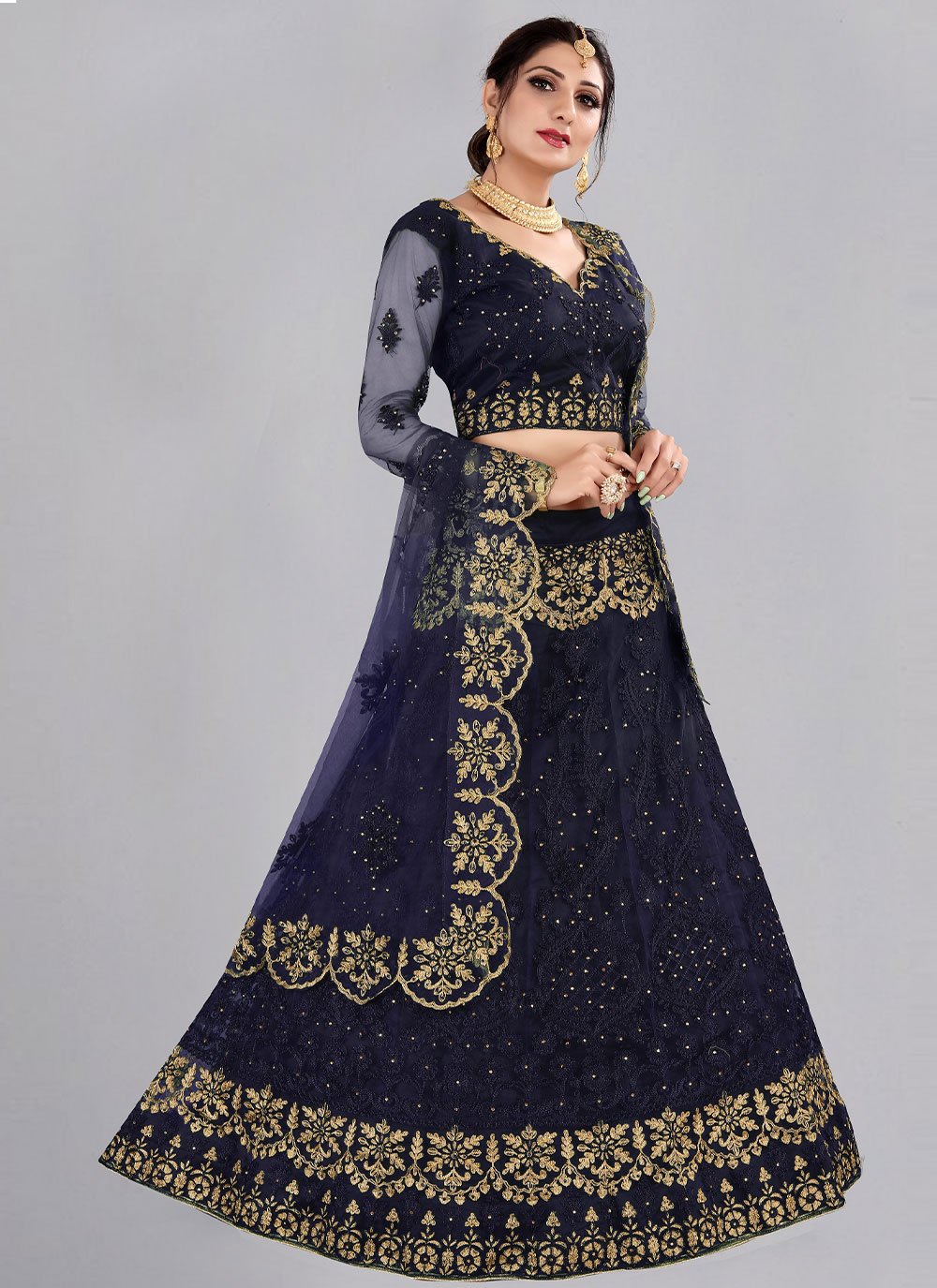 A Line Lehenga Net Blue Embroidered Lehenga Choli