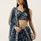 Lehenga Choli Net Blue Embroidered Lehenga Choli