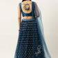 A Line Lehenga Net Blue Embroidered Lehenga Choli