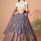 A Line Lehenga Net Grey Dori Work Lehenga Choli