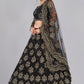 Lehenga Choli Net Black Embroidered Lehenga Choli