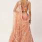 A Line Lehenga Net Peach Dori Work Lehenga Choli