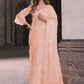 Trendy Saree Net Peach Embroidered Saree
