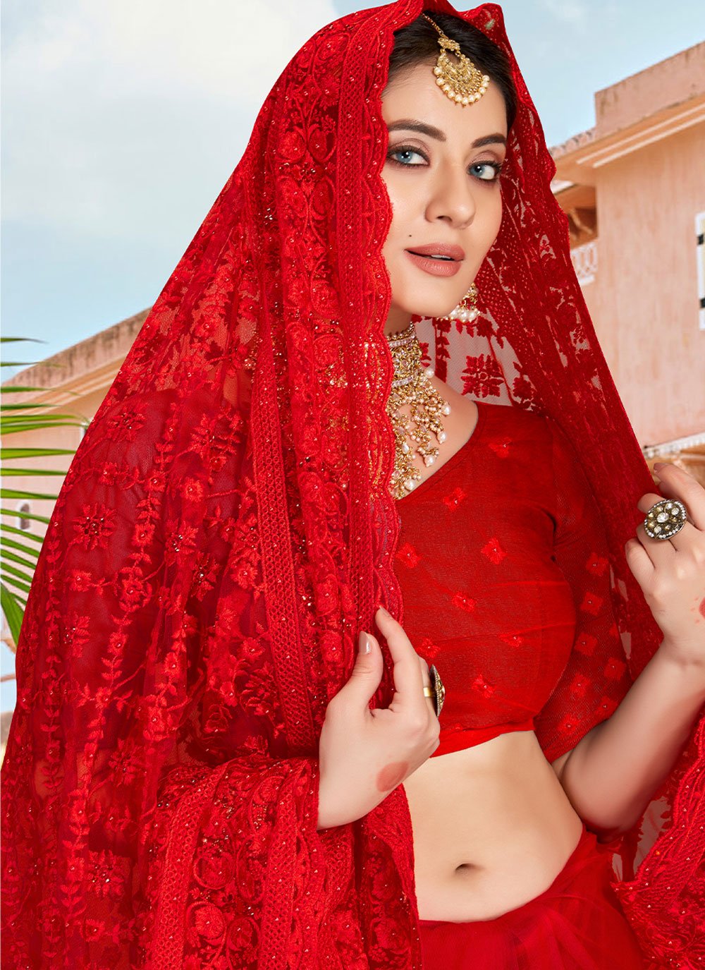 Classic Net Red Embroidered Saree