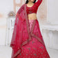 A Line Lehenga Net Rani Embroidered Lehenga Choli