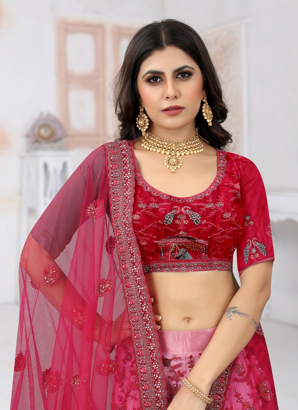 A Line Lehenga Net Rani Embroidered Lehenga Choli