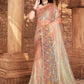 Classic Net Peach Embroidered Saree