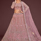 A Line Lehenga Net Pink Dori Work Lehenga Choli