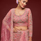 Lehenga Choli Net Pink Dori Work Lehenga Choli