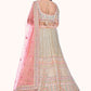 Lehenga Choli Net Off White Dori Work Lehenga Choli