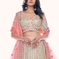 Lehenga Choli Net Off White Dori Work Lehenga Choli