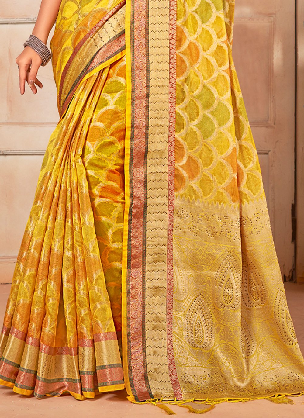 Trendy Saree Organza Multi Colour Fancy Work Saree