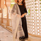 Pant Style Suit Rayon Black Fancy Work Salwar Kameez