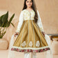 Anarkali Suit Handloom Silk Brown Embroidered Kids