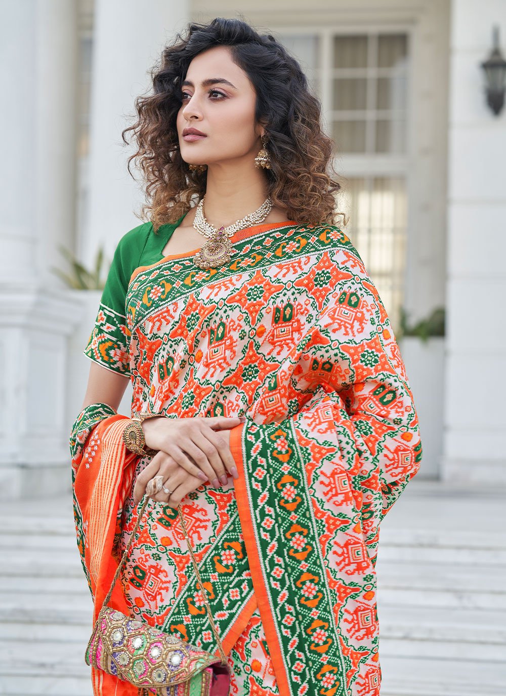 Classic Patola Silk Multi Colour Weaving Saree