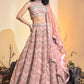 A Line Lehenga Net Pink Hand Work Lehenga Choli