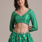 A Line Lehenga Jacquard Silk Green Print Lehenga Choli