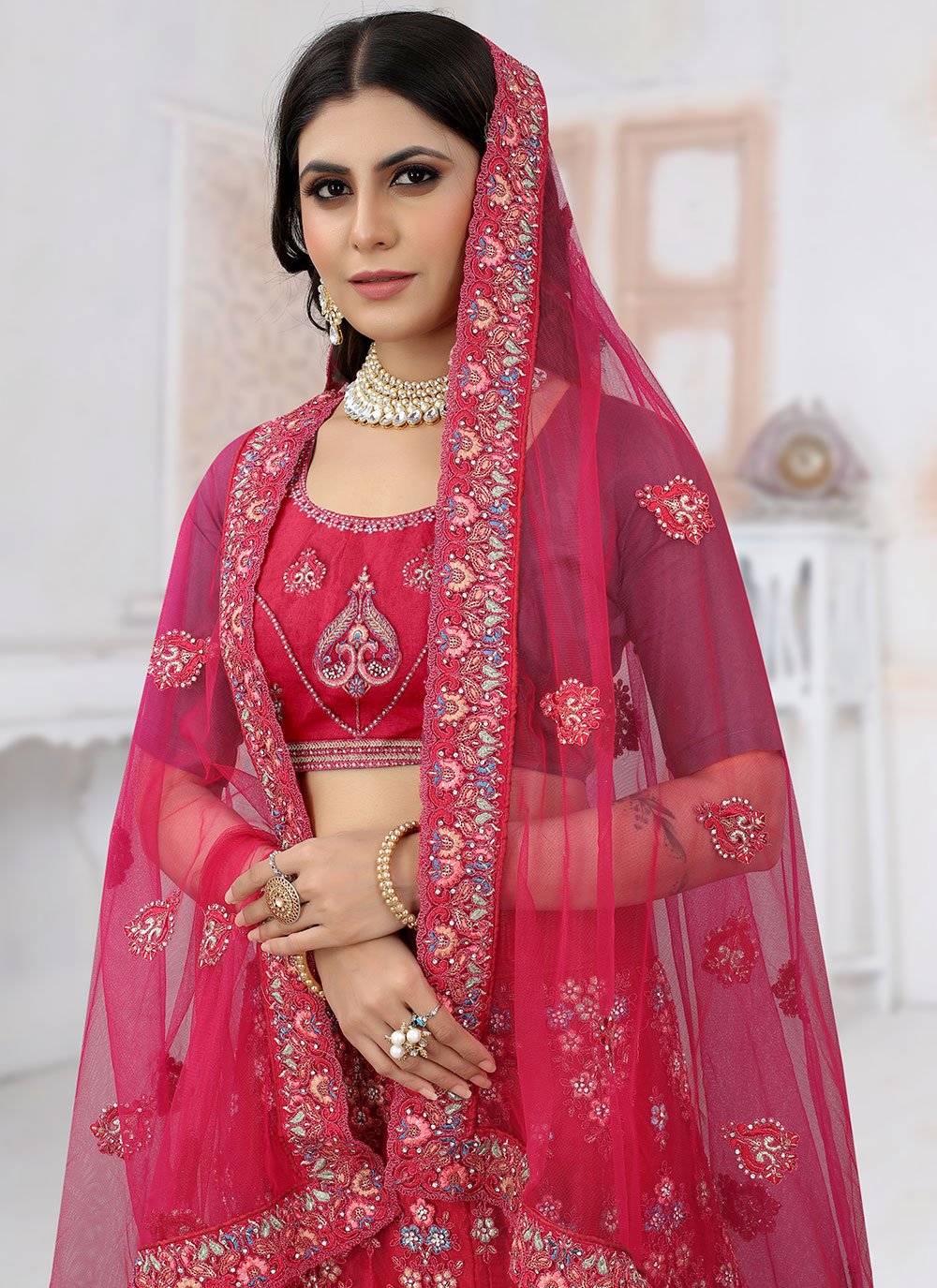 A Line Lehenga Net Rani Embroidered Lehenga Choli