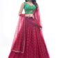 A Line Lehenga Net Rani Hand Work Lehenga Choli