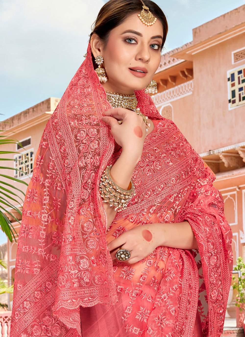 Classic Net Pink Embroidered Saree