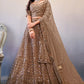 A Line Lehenga Net Brown Embroidered Lehenga Choli