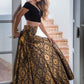 A Line Lehenga Banarasi Silk Black Weaving Lehenga Choli